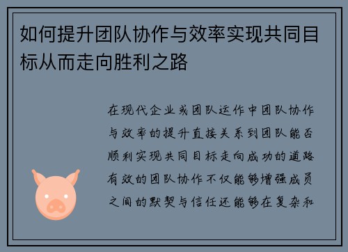 如何提升团队协作与效率实现共同目标从而走向胜利之路