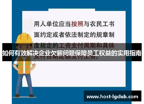 如何有效解决企业欠薪问题保障员工权益的实用指南