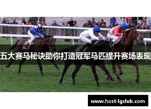 五大赛马秘诀助你打造冠军马匹提升赛场表现